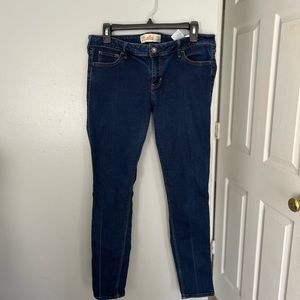 Hollister Jean’s